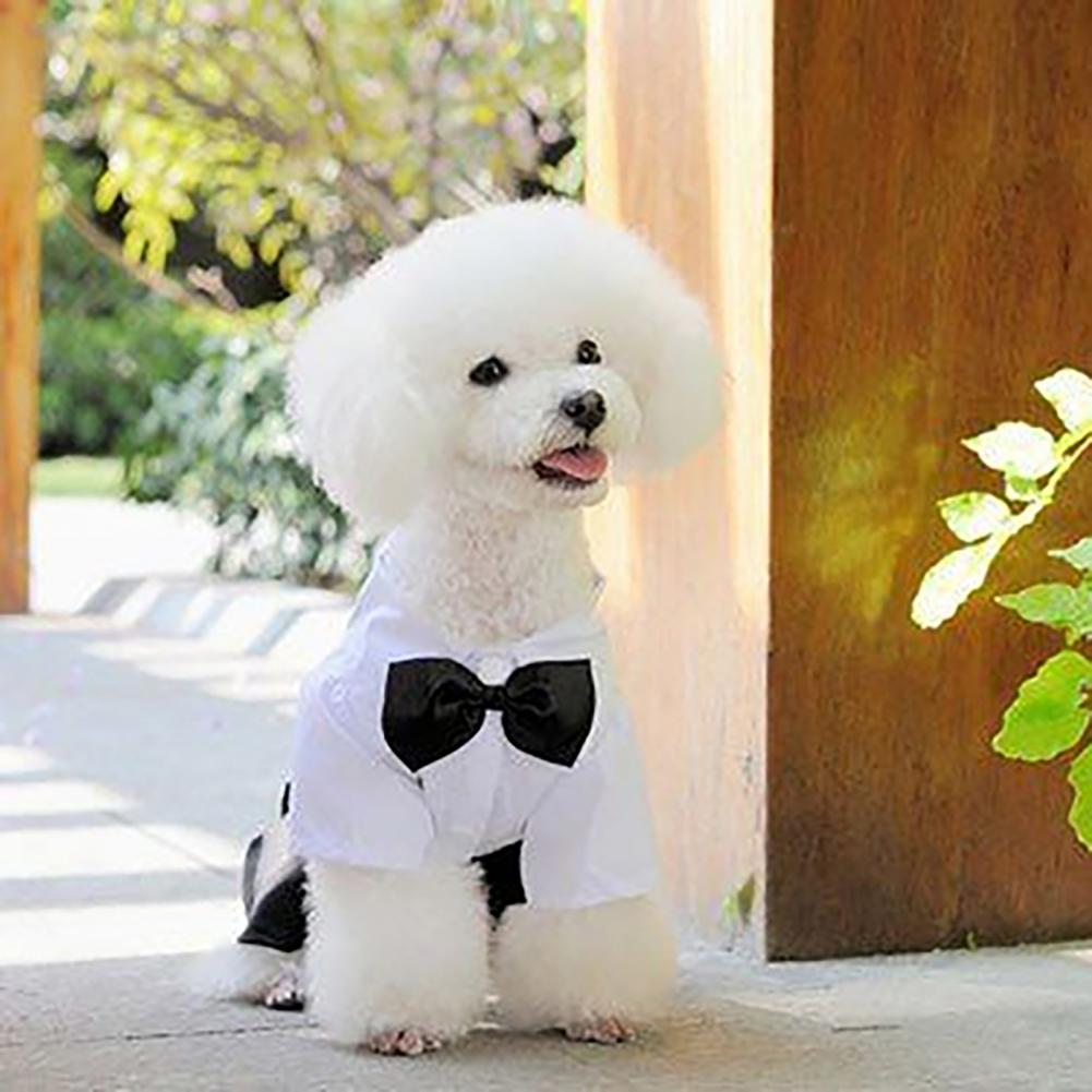 Summer Dog Clothing - الكلب ربطة القوس فيونكة دعوى سهرة