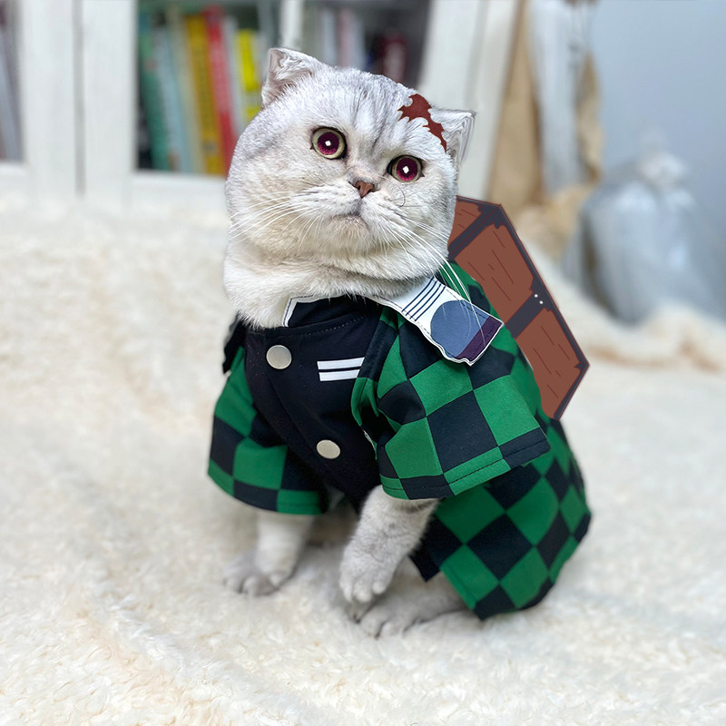 ملابس الحيوانات الأليفة بتصميم - مراجعة Summer Dog Clothing وسعره