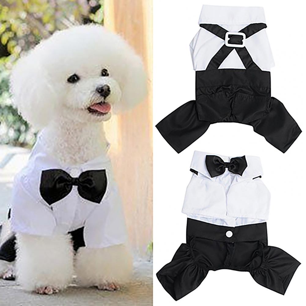 الكلب ربطة القوس فيونكة دعوى س - مراجعة Summer Dog Clothing وسعره