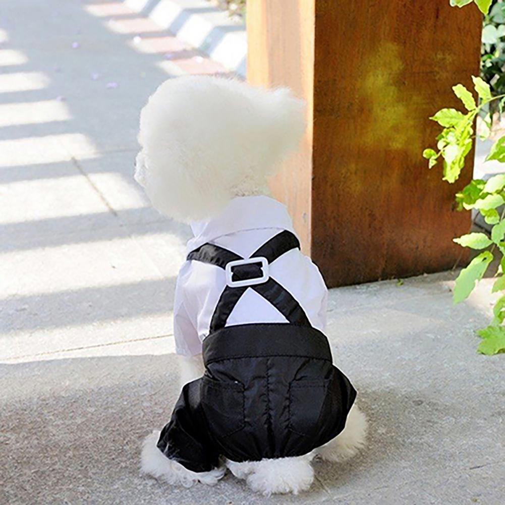 الكلب ربطة القوس فيونكة دعوى س - مراجعة Summer Dog Clothing وسعره